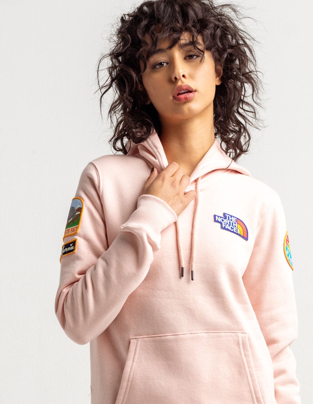 north face novelty patch hoodie